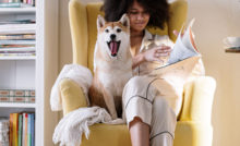 Need to know advice for dog owners